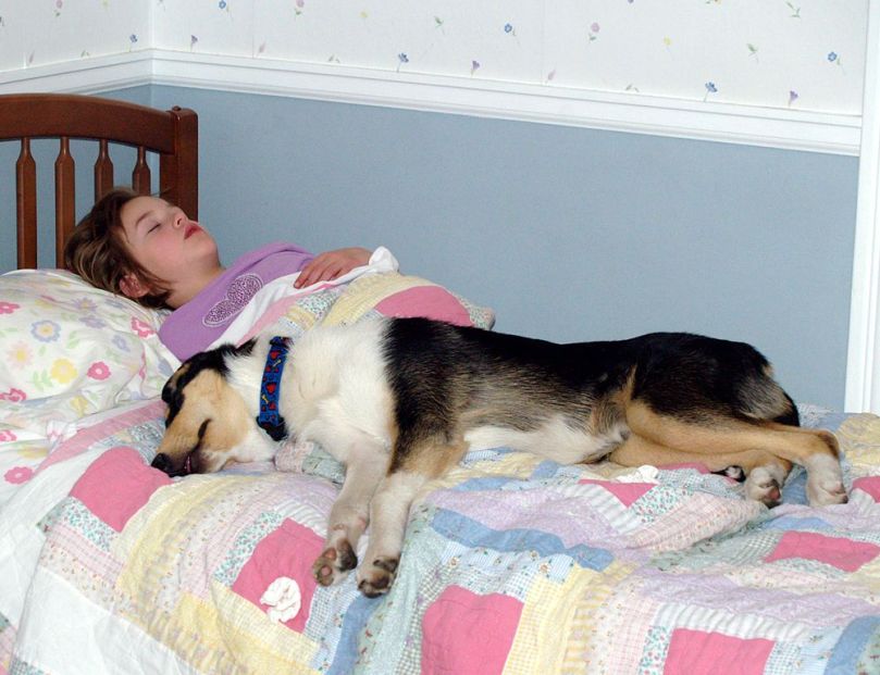 1000px-Girl_asleep_with_her_smooth_Collie