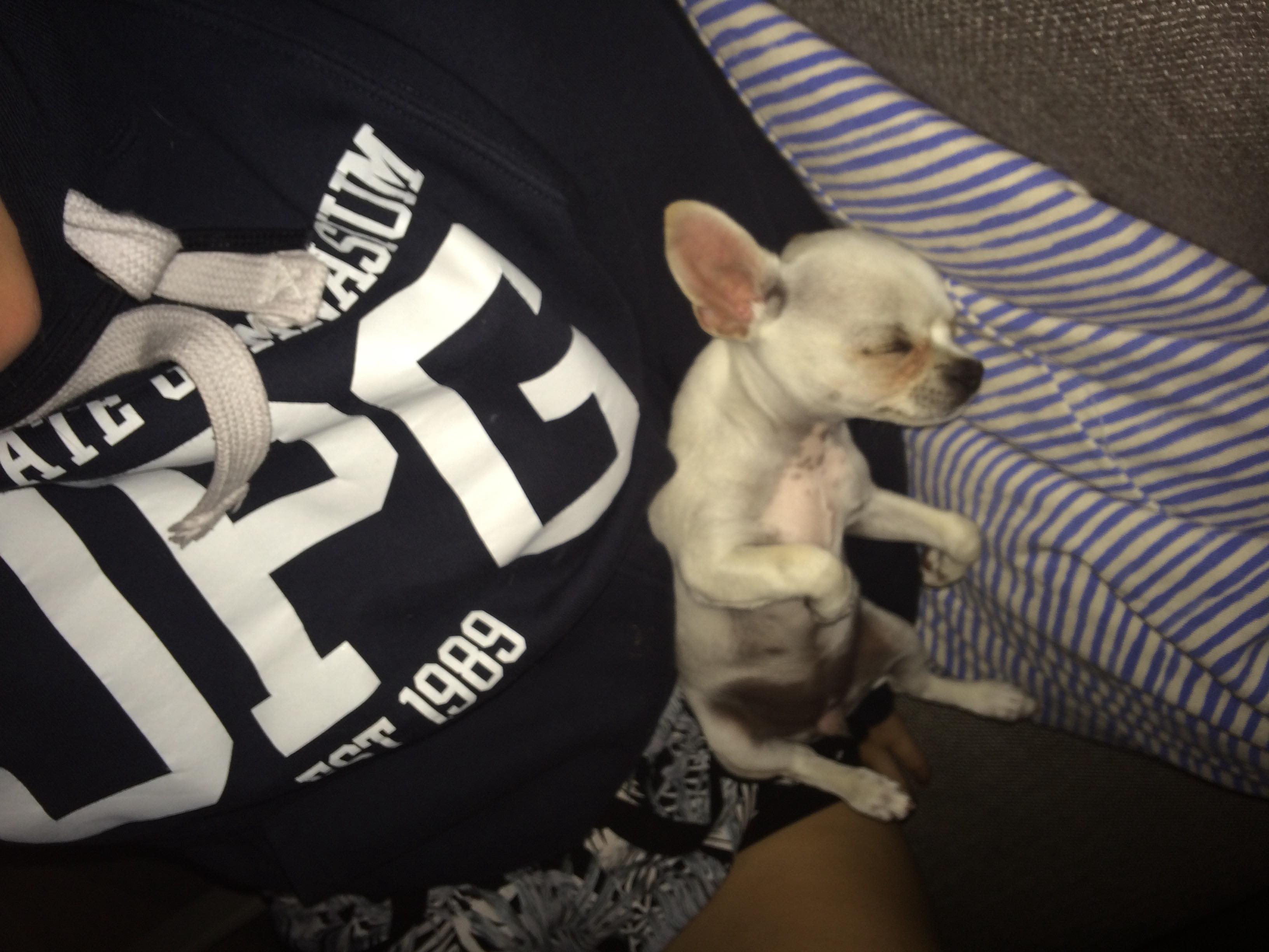 28580753_2025631487650124_856289703_o