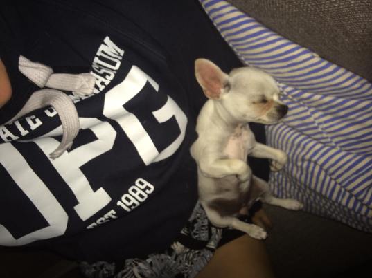 28580753_2025631487650124_856289703_o